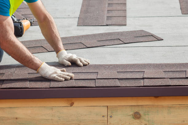 Best Emergency Roof Repair Services  in Allen Park, MI